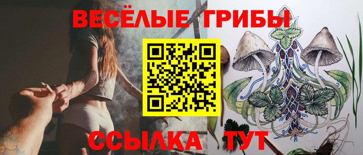 Псилоцибиновые грибы Psilocybe  Вход с VPN  где найти   Коломна 